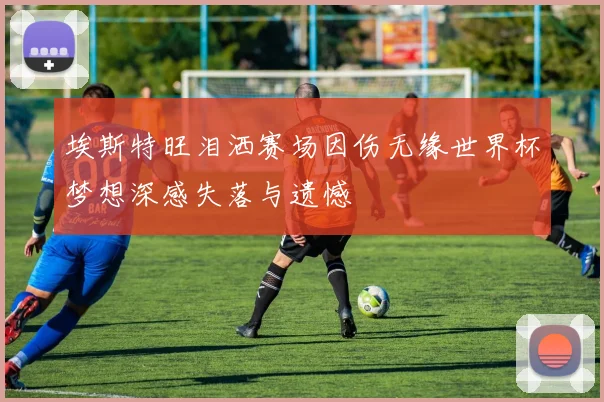 埃斯特旺泪洒赛场因伤无缘世界杯梦想深感失落与遗憾