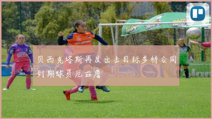 贝西克塔斯再度出击目标多特合同到期球员厄兹詹